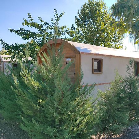 Finca Alarcos Valverde  Εξωτερικό φωτογραφία